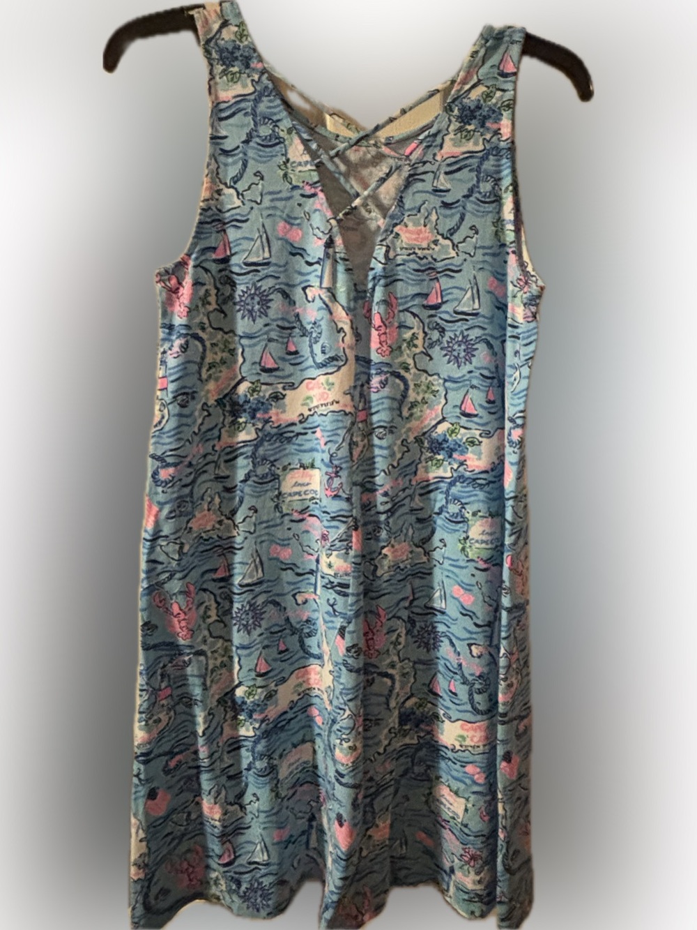 Lilly Pulitzer Kristen Swing Dress Bali Blue Lily Loves Cape Cod Dress